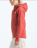 The North Face Shelbe Raschel Softshell Hoodie