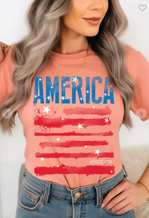 "America Since 1776" Graphic Tee