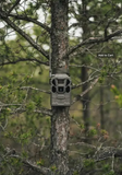 Tactacam Reveal X 3.0 Cellular Camera