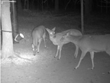 Tactacam Reveal X 3.0 Cellular Camera