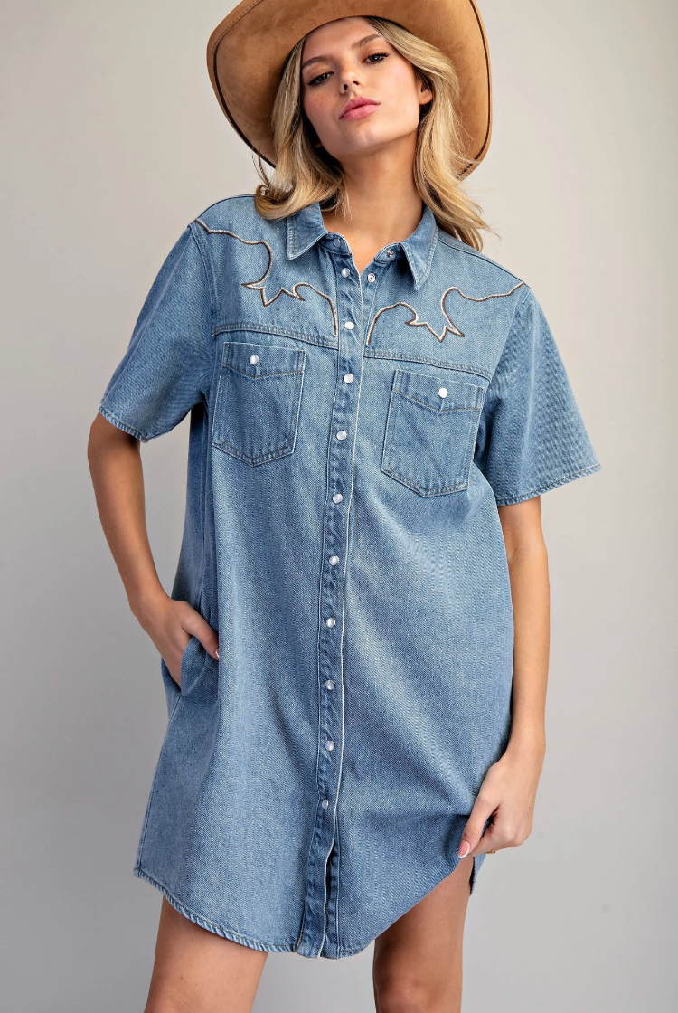 Western Embroidered Mini Dress