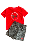 Under Armour Toddler Short Set